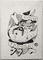 dinosaur-horseshoe-crab-2014-poor-quality-photo
